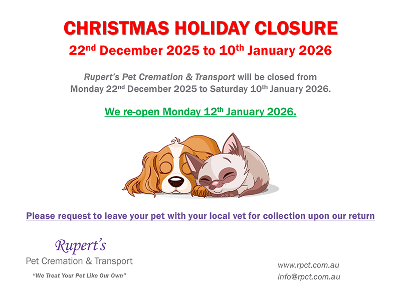 RPCT_Holiday_Closure_22.12_-_11.01_resized.png