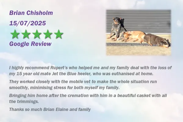 ruperts-pet-crematorium-customer-review-156BA41B49-37C9-9D8E-2D53-45C1417E62B8.webp