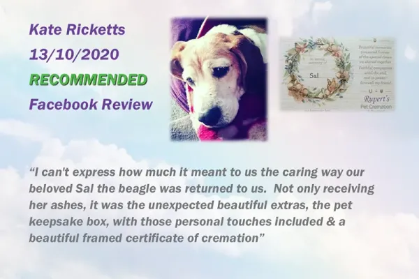 ruperts-pet-crematorium-customer-review-158506F78B0-EF3A-BB02-5B2D-D179E6AB840B.webp