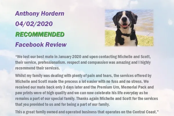 ruperts-pet-crematorium-customer-review-19326C80C34-302E-0D27-2FFE-F4963E331D72.webp
