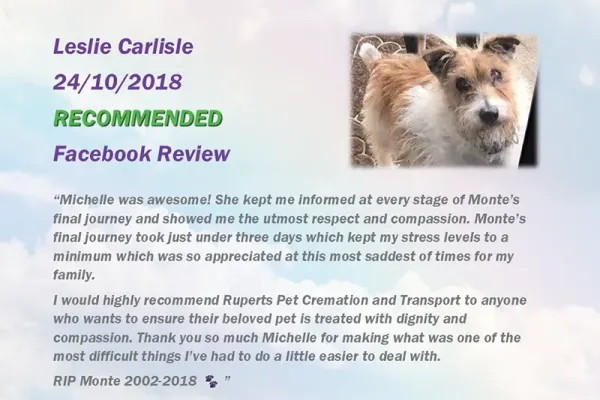 ruperts-pet-crematorium-customer-review-2547DEFFC7E-3306-6B87-7338-9D210C9D4ED6.webp