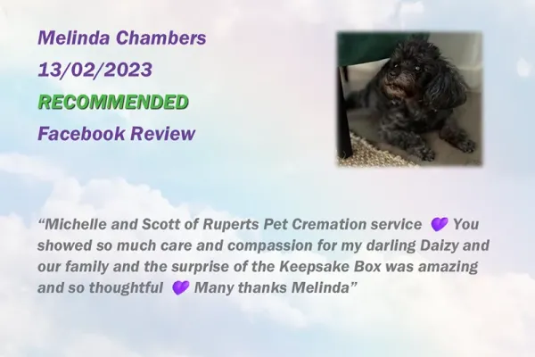 ruperts-pet-crematorium-customer-review-793115BB75-DD98-85DA-DAC9-3864D7698CFF.webp